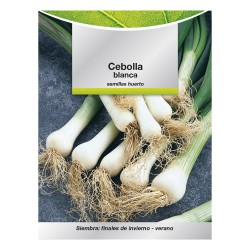 Semillas Cebolla Blanca (4 gramos) Semillas Verduras, Horticultura, Horticola, Semillas Huerto.